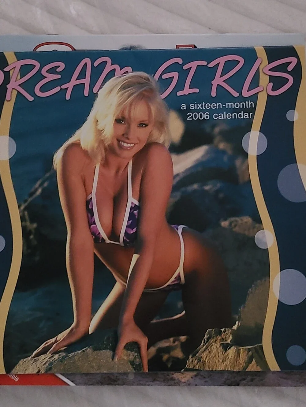 Vintage Collectible Dream Girls 2006 Calendar Cover – New